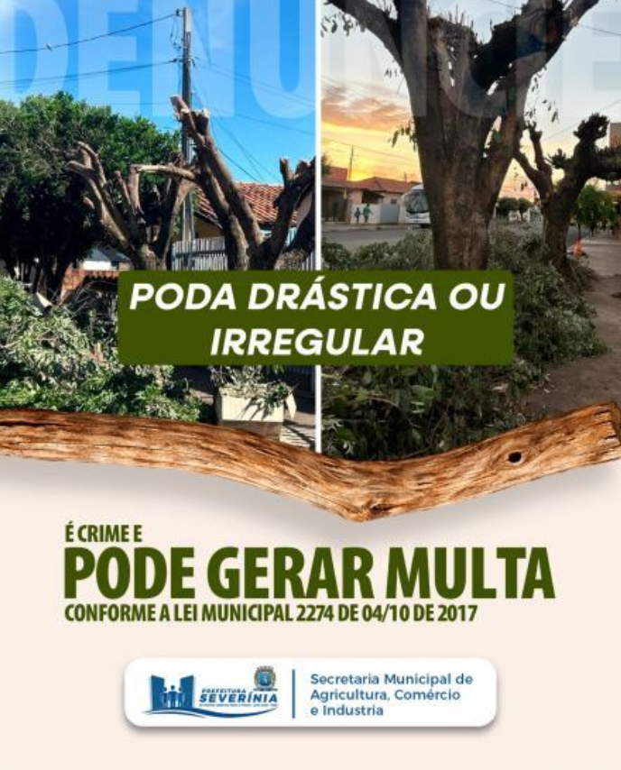 MEIO AMBIENTE